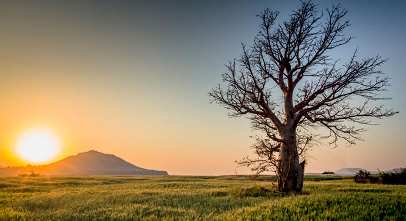 How to Practice the Art of Resilience